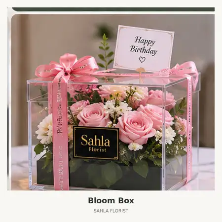 Bloom Box Maros